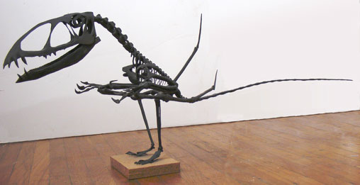 Dimorphodon skeleton model