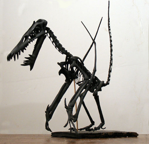 Dorygnathus skeleton model