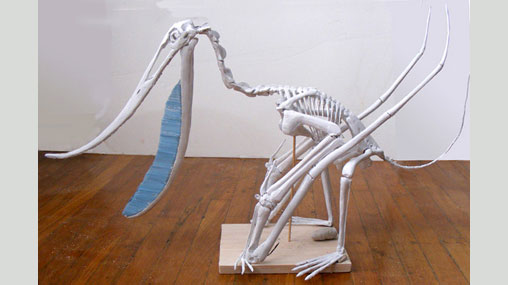 Pterodaustro skeleton model