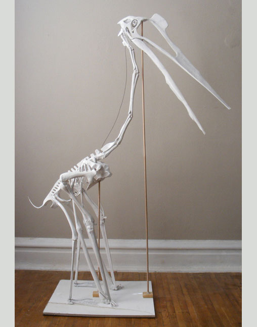 Quetzalcoatlus skeleton model