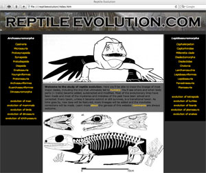 ReptileEvolution.com website