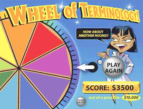 Wheel of Terminology